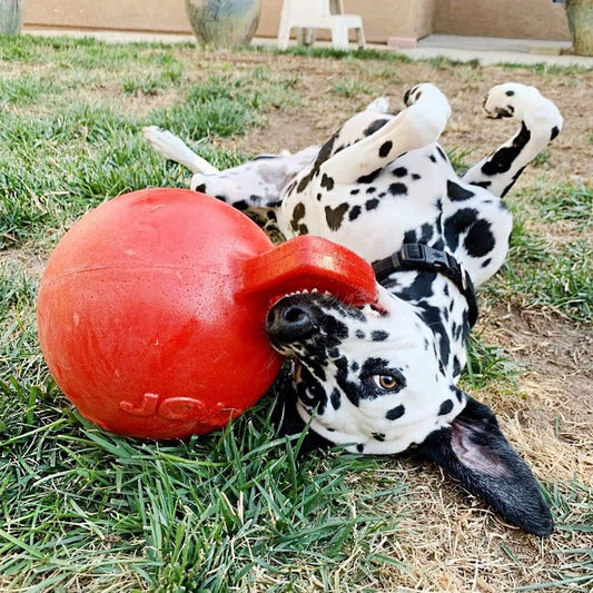 Jolly Pet Mini Tug n Toss Interactive Ball Dog Toy, 4", Red