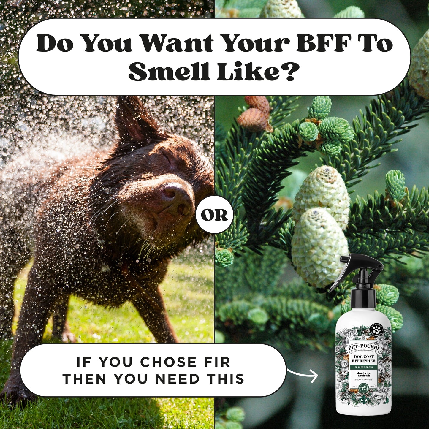 Pet-Pourri Dog Coat Refresher, Furrest Fresh, Bergamot, Clove, and Cin