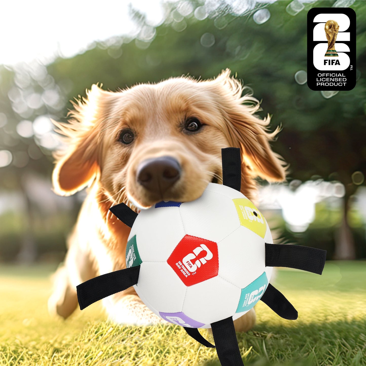 FIFA World Cup 2026 Pet Powergrip Soccer Ball Toy with Tethers for Dog
