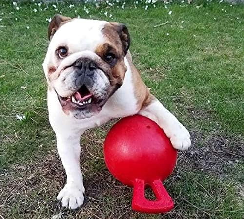 Jolly Pets Tug-N-Toss 6 inch Red Rubber Ball with Handle Chew Toy for