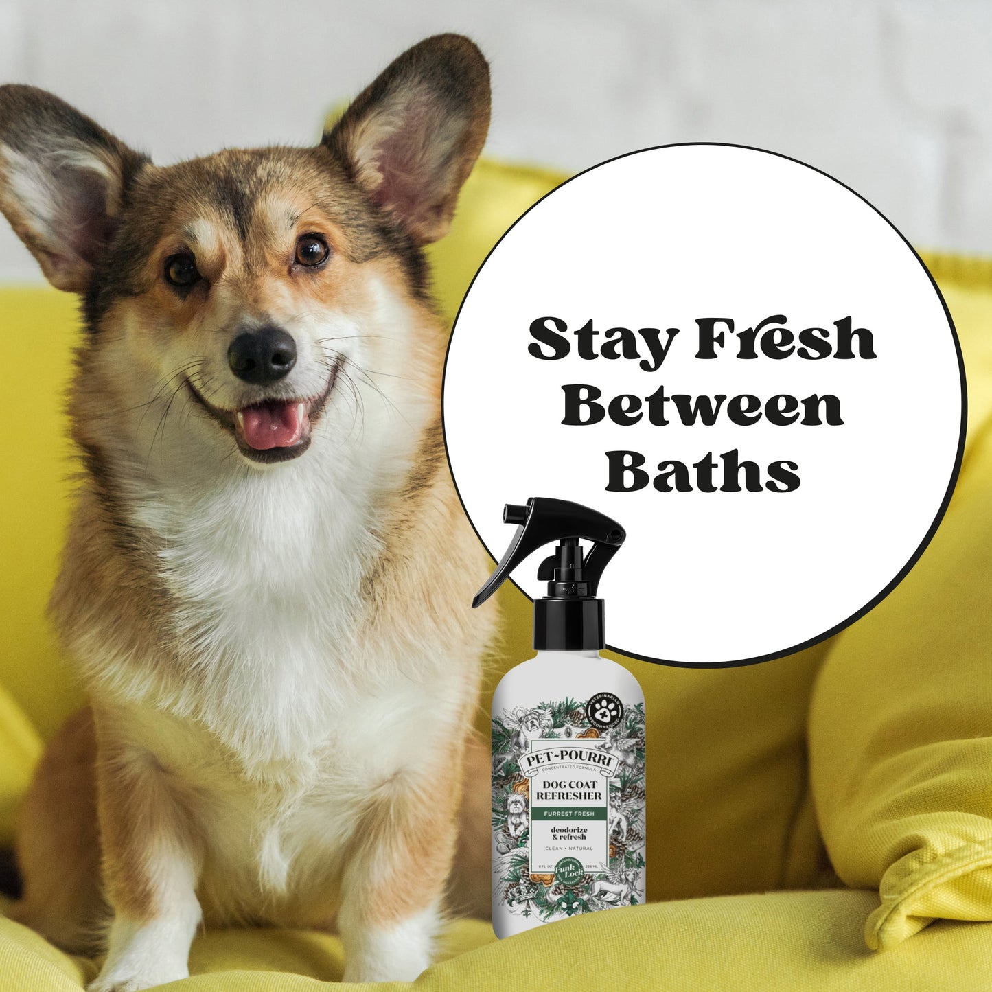 Pet-Pourri Dog Coat Refresher, Furrest Fresh, Bergamot, Clove, and Cin