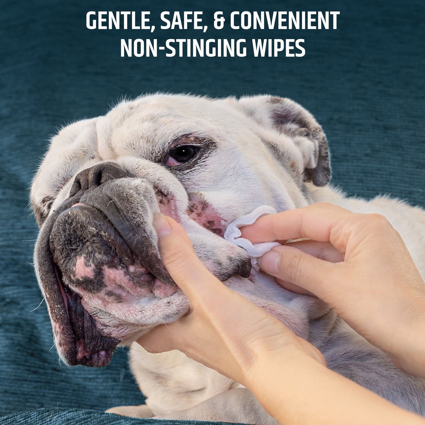 Pet MD Topical Wipes for Cleansing - with Aloe for Cats and Dogs - 50