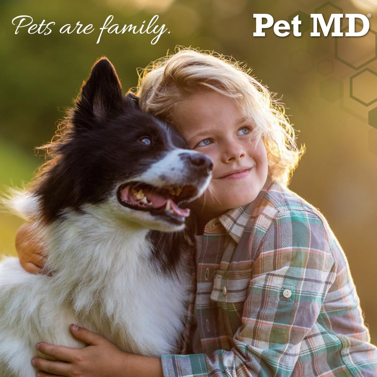 Pet MD Chlorhexidine Wipes XL with Aloe for Dogs and Cats - Medicated