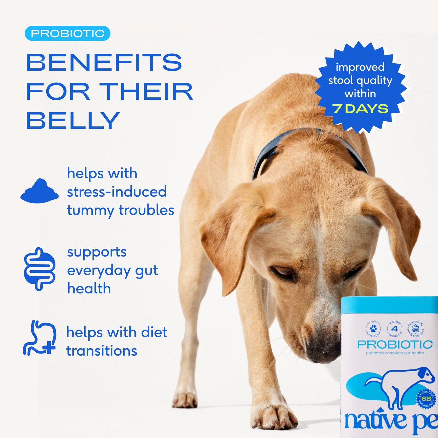 Native Pet Probiotic for Dogs, Gut Health + Prebiotic Fiber & Bone Bro