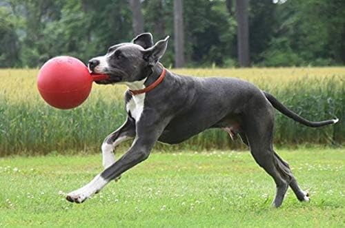 Jolly Pets Tug-N-Toss 6 inch Red Rubber Ball with Handle Chew Toy for
