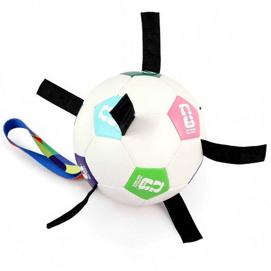 FIFA World Cup 2026 Pet Powergrip Soccer Ball Toy with Tethers for Dog