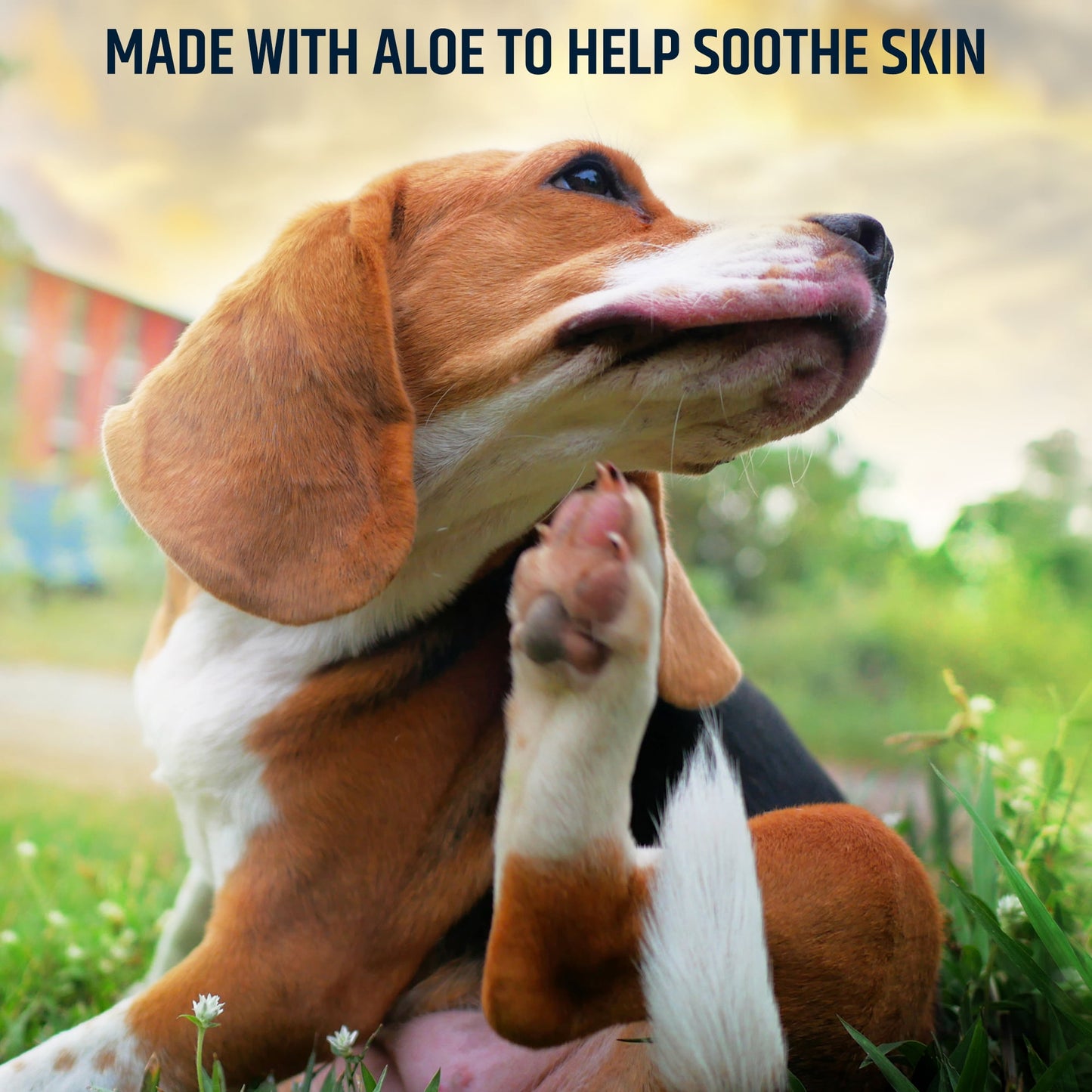 Pet MD Topical Wipes for Cleansing - with Aloe for Cats and Dogs - 50